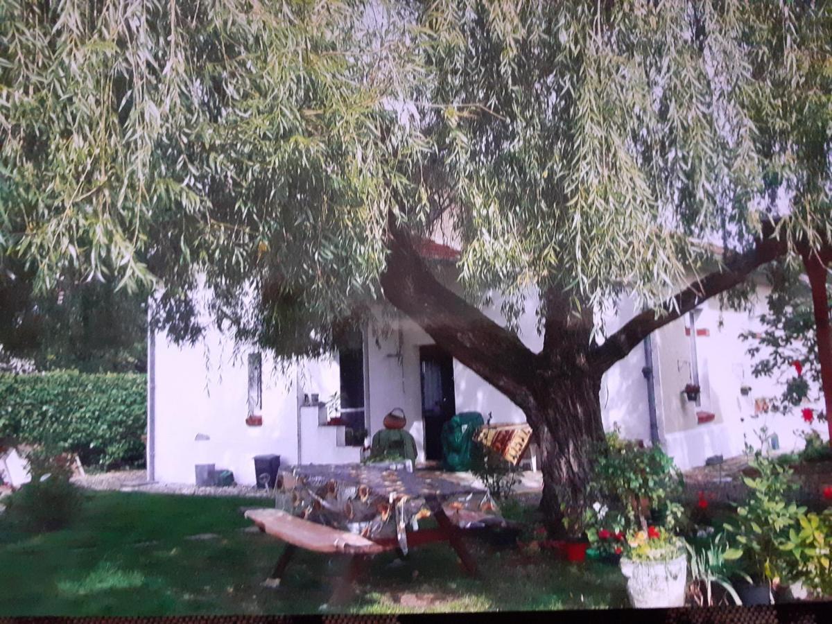 Peti Kaz Hotel Saint-Seurin-sur-l'Isle Luaran gambar